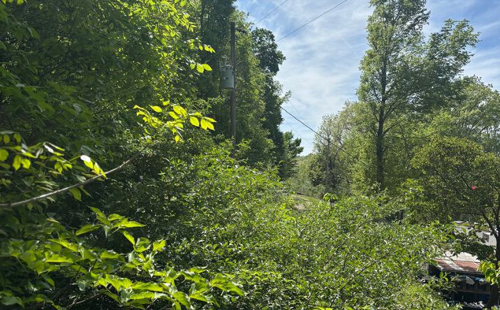Pictures of Land property located at Lots 120, 123-127 Rocky Ln, Perryville, MO 63775 for sales - image #1