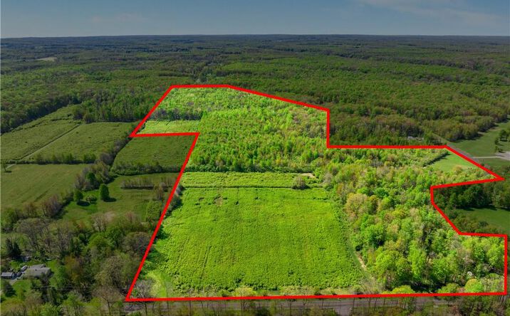 Pictures of Land property located at Balch Rd, Leroy, OH 44086 for sales - image #1
