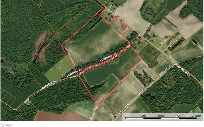 Pictures of Land property located at tbd Black Creek Rd., Nichols, SC 29581 for sales - image #1