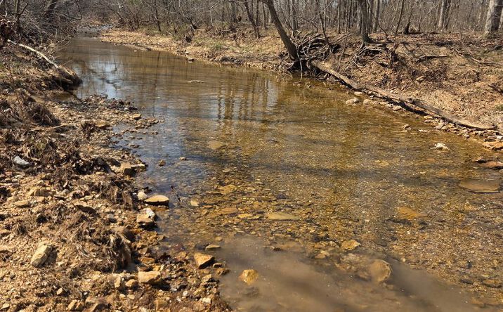 Pictures of Land property located at Tract 2 Off BCR 930, Patton, MO 63662 for sales - image #1