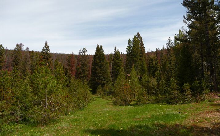 Pictures of Land property located at 263 Wild Hill Lane, Lincoln, MT 59639 for sales - image #1