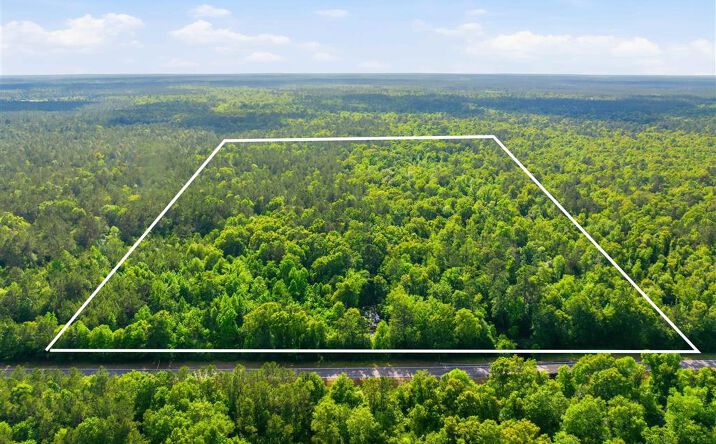 Pictures of Land property located at 16238 Highway 389, Merryville, LA 70653 for sales - image #1