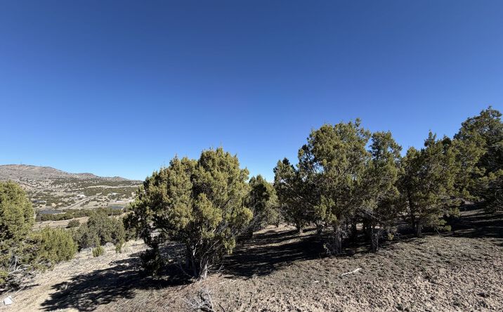 Pictures of Land property located at Andy's Way, Elko, NV 89801 for sales - image #1