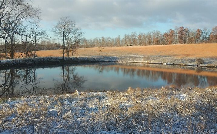 Pictures of Land, Multifamily property located at 80 ac. Ripley Co 160W-15 Road, Other, MO 63935 for sales - image #1