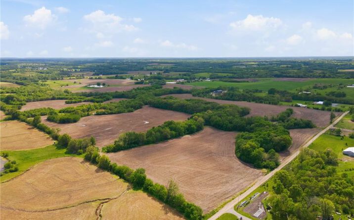 Pictures of Land property located at 65 Highway, Bogard, MO 64622 for sales - image #1