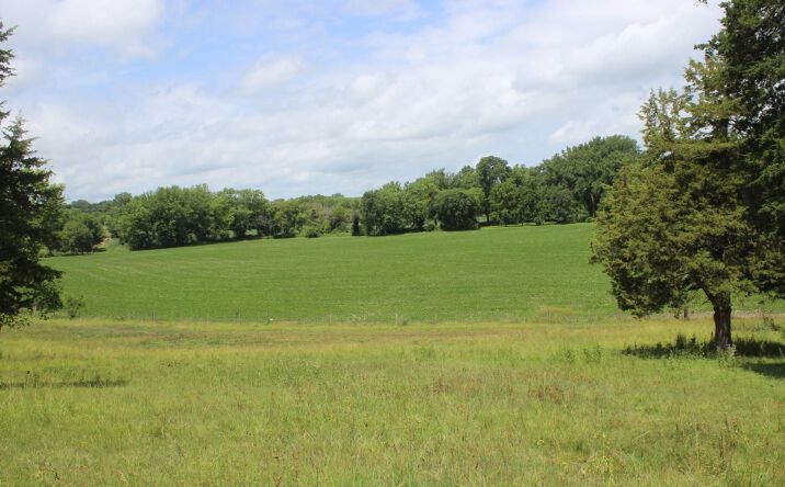 Pictures of Land property located at 182nd Avenue, Maquoketa, IA 52060 for sales - image #1