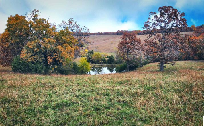 Pictures of Land, Special Purpose property located at Dwyer, Warsaw, MO 65355 for sales - image #1