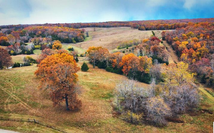 Pictures of Land, Special Purpose property located at Dwyer, Warsaw, MO 65355 for sales - image #1