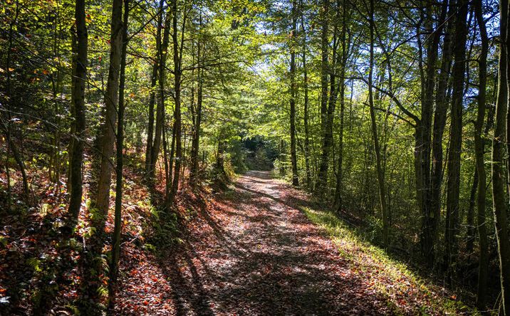 Pictures of Land property located at 1197 RTE 6, GAINES TWP, PA 16921 for sales - image #1