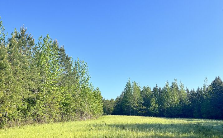 Pictures of Land property located at 0 Knights Road, Mt., Willing, AL 36032 for sales - image #1