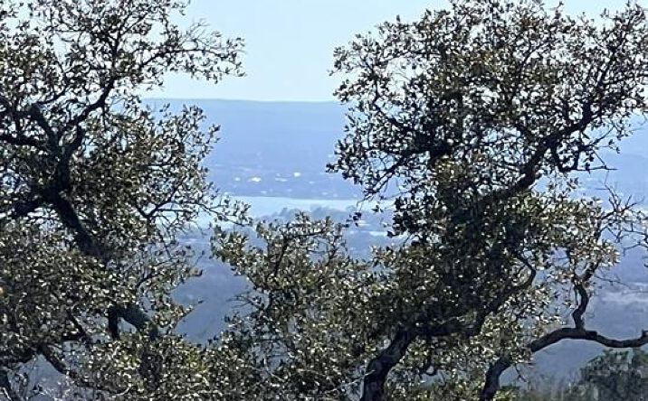 Pictures of Land property located at 199 High Range Drive, Kingsland, TX 78639 for sales - image #1