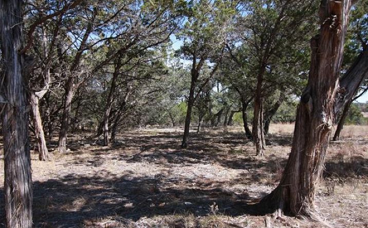 Pictures of Land property located at 150 Patricks Way, Dripping Springs, TX 78620 for sales - image #1