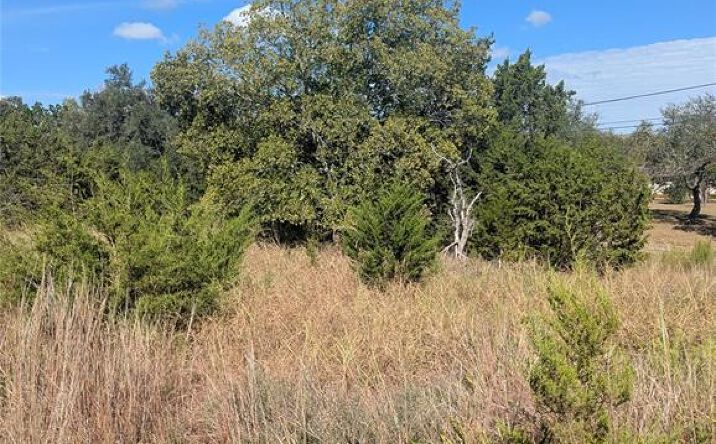 Pictures of Mixed Use, Land property located at 201 Springlake Dr, Dripping Springs, TX 78620 for sales - image #1