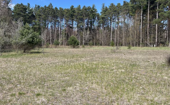 Pictures of Business for Sale, Retail, Office, Industrial, Land property located at 1892 W US-10, Scottville, MI 49454 for sales - image #1