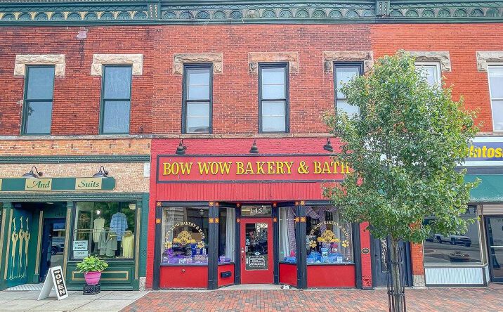 Pictures of Business for Sale, Office, Retail property located at 145 S Front Street, Dowagiac, MI 49047 for sales - image #1