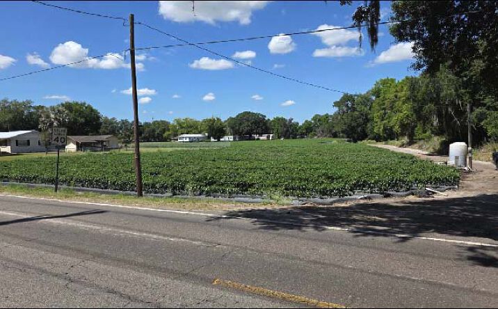 Pictures of Land property located at Gallagher Rd, Dover, FL 33527 for sales - image #1