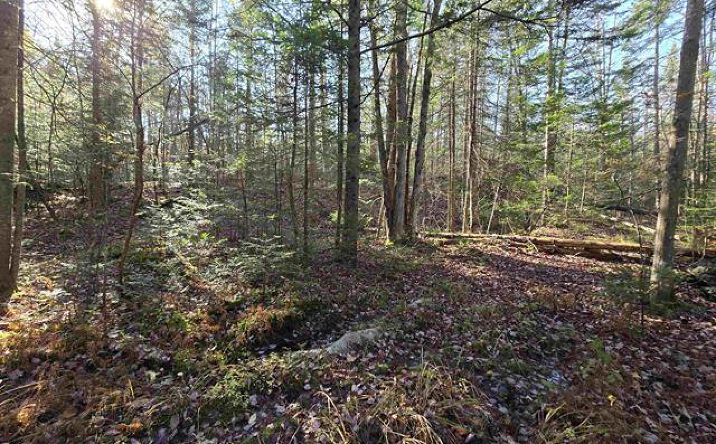 Pictures of Land property located at Lot 3 Chipper Lane, Milan, NH 03588 for sales - image #1