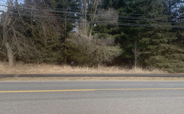 Pictures of Business for Sale, Retail, Office, Industrial, Land, Special Purpose property located at Parcel A W shaw Street, Howard City, MI 49329 for sales - image #1