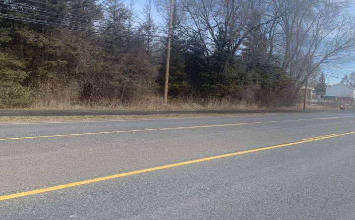 Pictures of Business for Sale, Retail, Office, Industrial, Land, Special Purpose property located at Parcel B W Shaw Street, Howard City, MI 49329 for sales - image #1