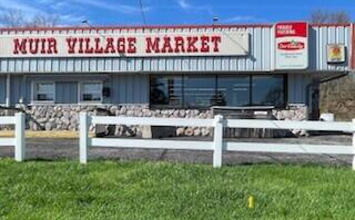 Pictures of Business for Sale, Retail, Office, Industrial property located at 278 W Maple Street, Muir, MI 48860 for sales - image #1