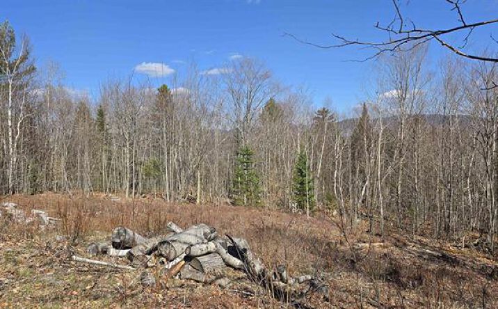 Pictures of Land property located at Cates Hill Road, Berlin, NH 03570 for sales - image #1