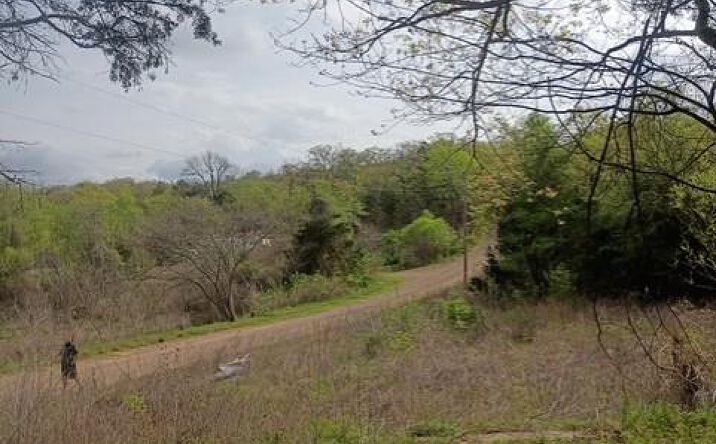Pictures of Land property located at 0 Buffalo # 9 Stigler, Stigler, OK 74462 for sales - image #1