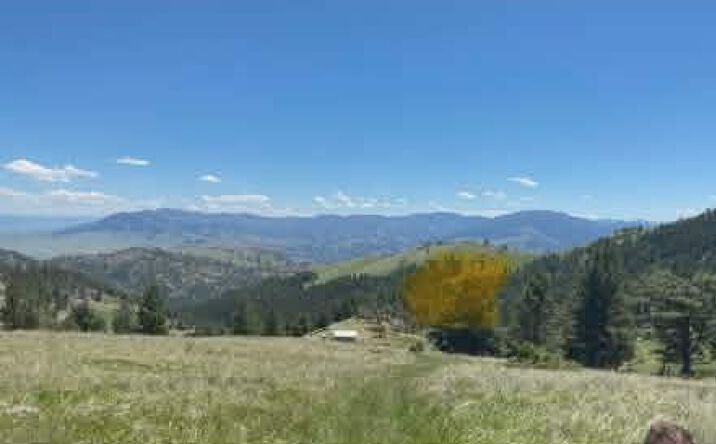 Pictures of Land property located at 37 Outer Loop Road, Cascade, MT 59421 for sales - image #1