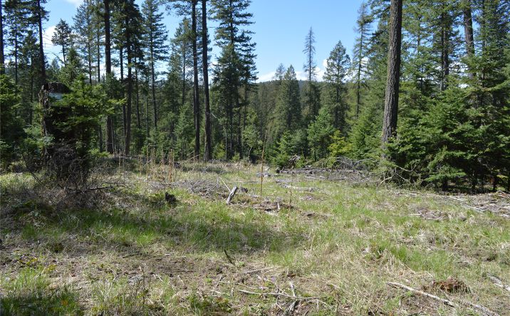 Pictures of Land property located at 200 Whitefish Hills Drive, Whitefish, MT 59937 for sales - image #1