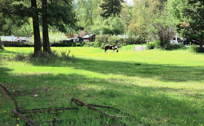 Pictures of Land property located at NHN Education Way, Libby, MT 59923 for sales - image #1
