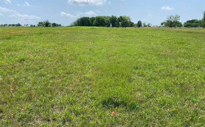 Pictures of Land property located at 7752 Homestead Drive, Mounds, OK 74047 for sales - image #1