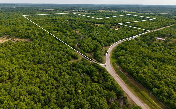 Pictures of Land property located at County Road 1475, Francis, OK 74844 for sales - image #1
