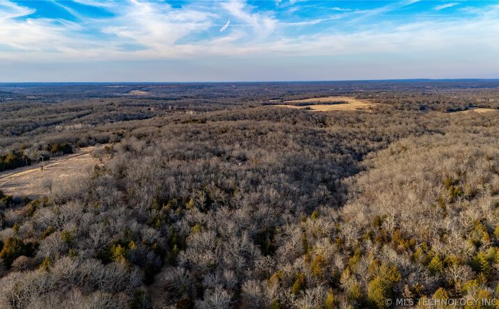 Pictures of Land property located at Francis Road, Byng, OK 74820 for sales - image #1