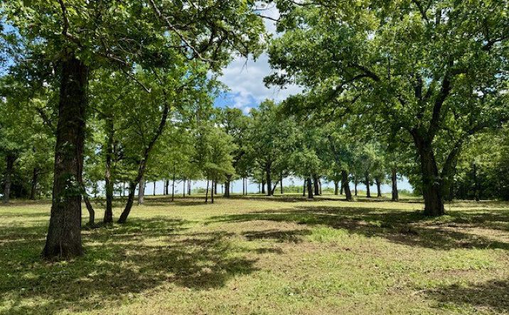 Pictures of Land property located at 3 Slab Road, Wapanucka, OK 73461 for sales - image #1
