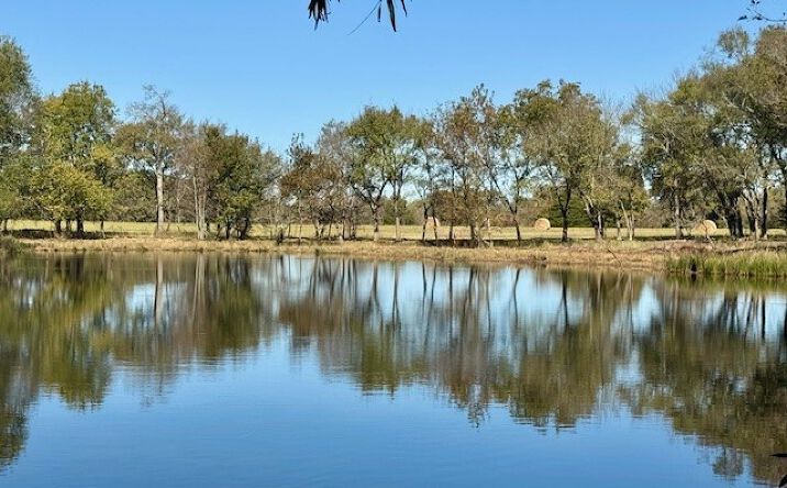 Pictures of Land property located at 4 Slab Road, Wapanucka, OK 73461 for sales - image #1