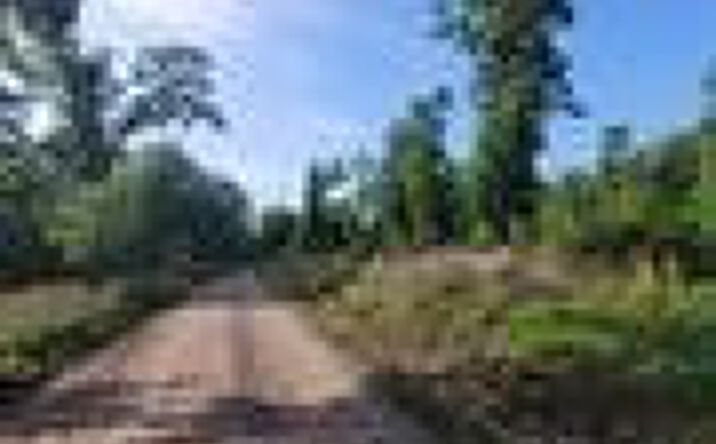 Pictures of Land property located at Wendy's Lane, Lincoln, MO 65338 for sales - image #1