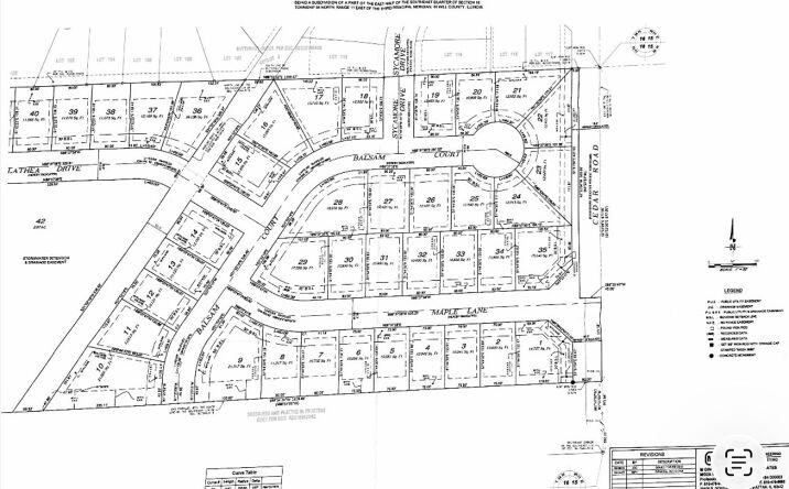 Pictures of Land property located at 3 Maple Lane, Manhattan, IL 60442 for sales - image #1