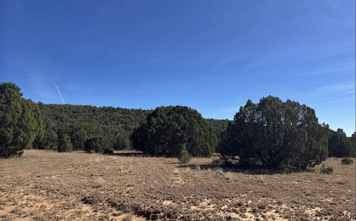 Pictures of Land property located at above Serafina Road, Serafina, NM 87569 for sales - image #1