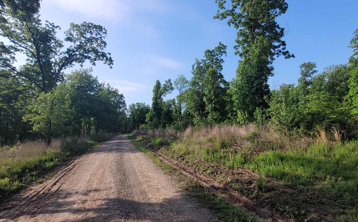 Pictures of Land property located at Wendy's, Lincoln, MO 65338 for sales - image #1