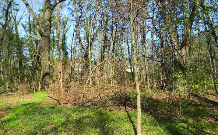 Parcel 211-Burns Crossing Road, Severn