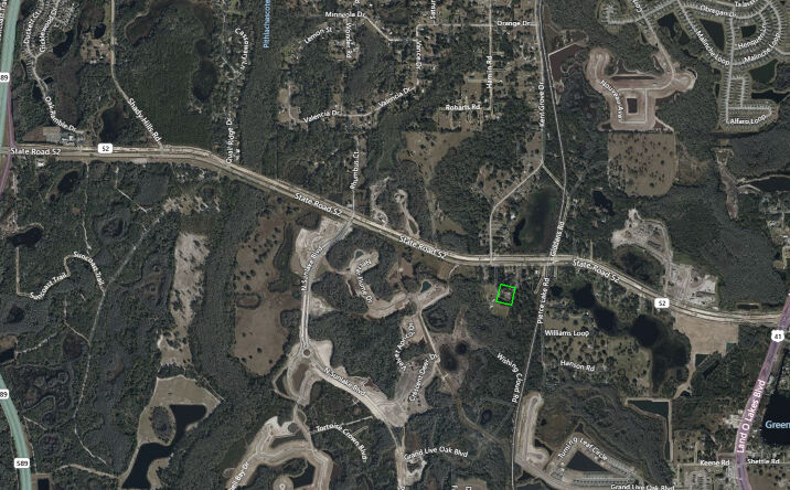 Pictures of Land property located at 11329 Trail Blazer Lane, Land O Lakes, FL 34638 for sales - image #1