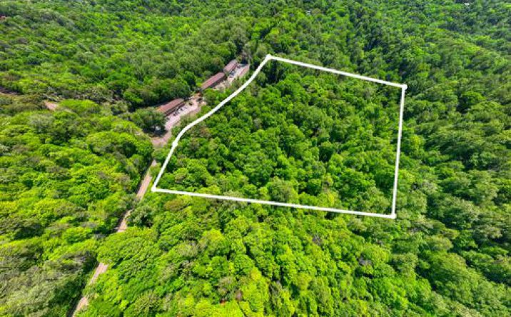 Pictures of Land property located at 0 E Red Bud Rd, Knoxville, TN 37920 for sales - image #1