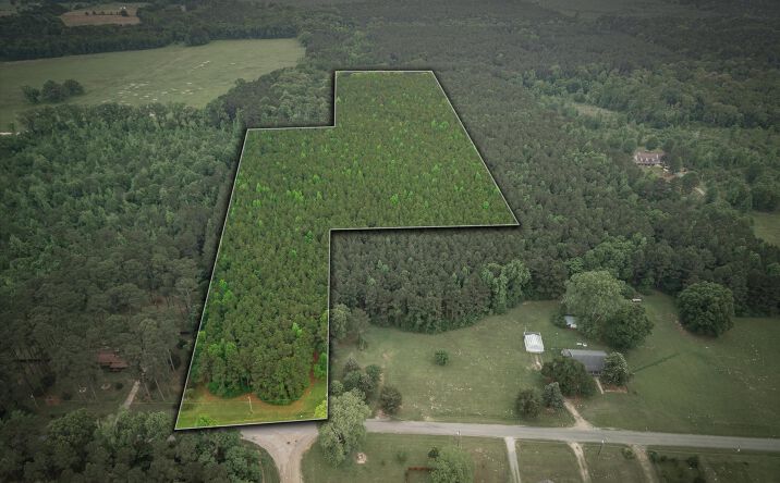 Pictures of Land property located at 0 Boothville Road, Doyline, LA 71023 for sales - image #1