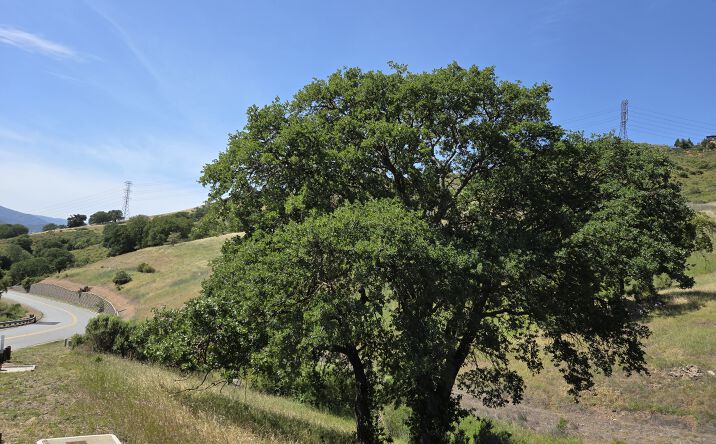 Pictures of Land property located at 22575 COUNTRY VIEW DR, SAN JOSE, CA 95120-3713 for sales - image #1