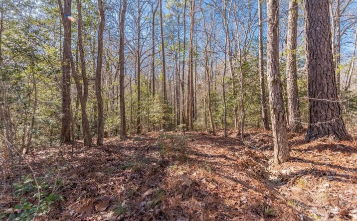 Pictures of Land property located at Morgan Drive, Lexington, SC 29072 for sales - image #1