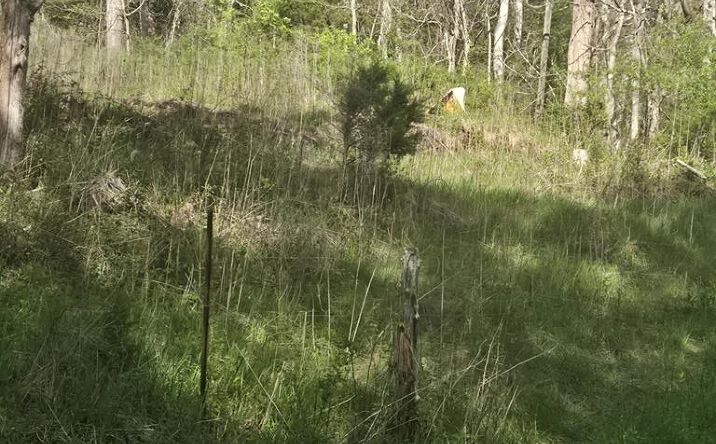 Pictures of Land, Multifamily property located at TBD Huddle Rd., Ivanhoe, VA 24350 for sales - image #1