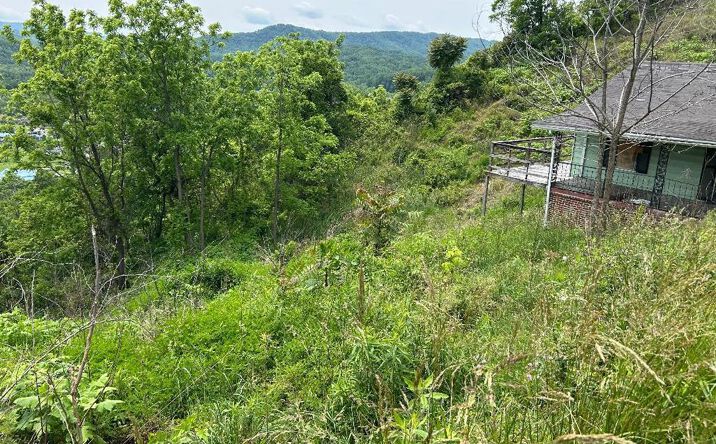 Pictures of Land, Multifamily property located at 231 Scenic Rd., Raven, VA 24639 for sales - image #1