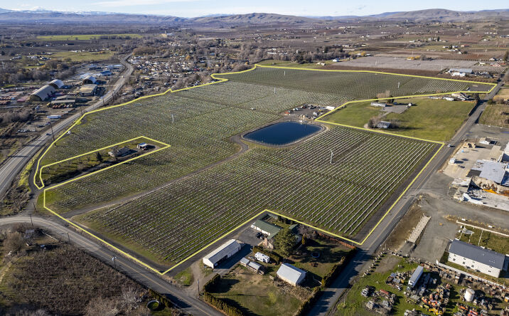 Pictures of Land property located at 1452 Suntargets Road, Moxee, WA 98936, 1490 Cheyne Road, Zillah, WA 98953, 251 Bailey Road, Zillah, WA 98953, 2001 Roza Drive, Zillah, WA 98953, 1790 Roza Drive, Zillah, WA 98953, 261 North Zickler Road, Zillah, WA 98953, 450 Bella Terra Road, Zillah, WA 98953, 2622 Cheyne Road, Zillah, WA 98953, 1651 Cheyne Road, Zillah, WA 98953, 761 Houghton Road, Zillah, WA 98953, 600 Houghton Road, Zillah, WA 98953, 622 Eaker Road, Granger, WA 98932 for sales - image #1