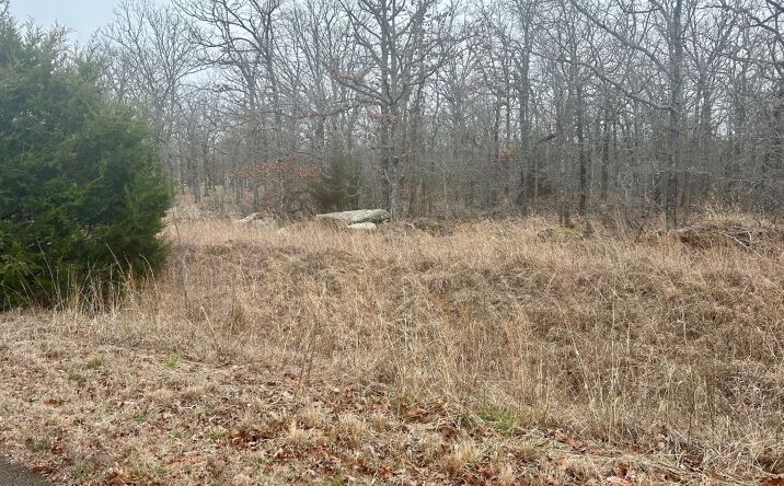 Pictures of Land property located at 10 E 205th Street S, Bixby, OK 74008 for sales - image #1