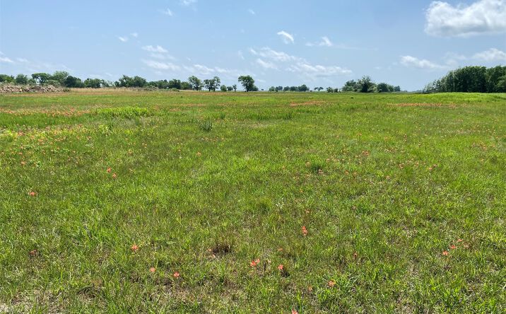 Pictures of Land property located at 7866 Homestead Drive, Mounds, OK 74047 for sales - image #1