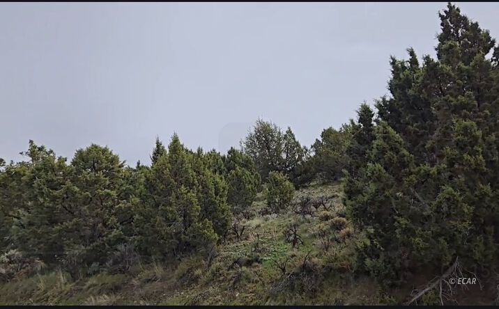 Pictures of Land property located at 246 Greencrest Drive, Spring Creek, NV 89815 for sales - image #1
